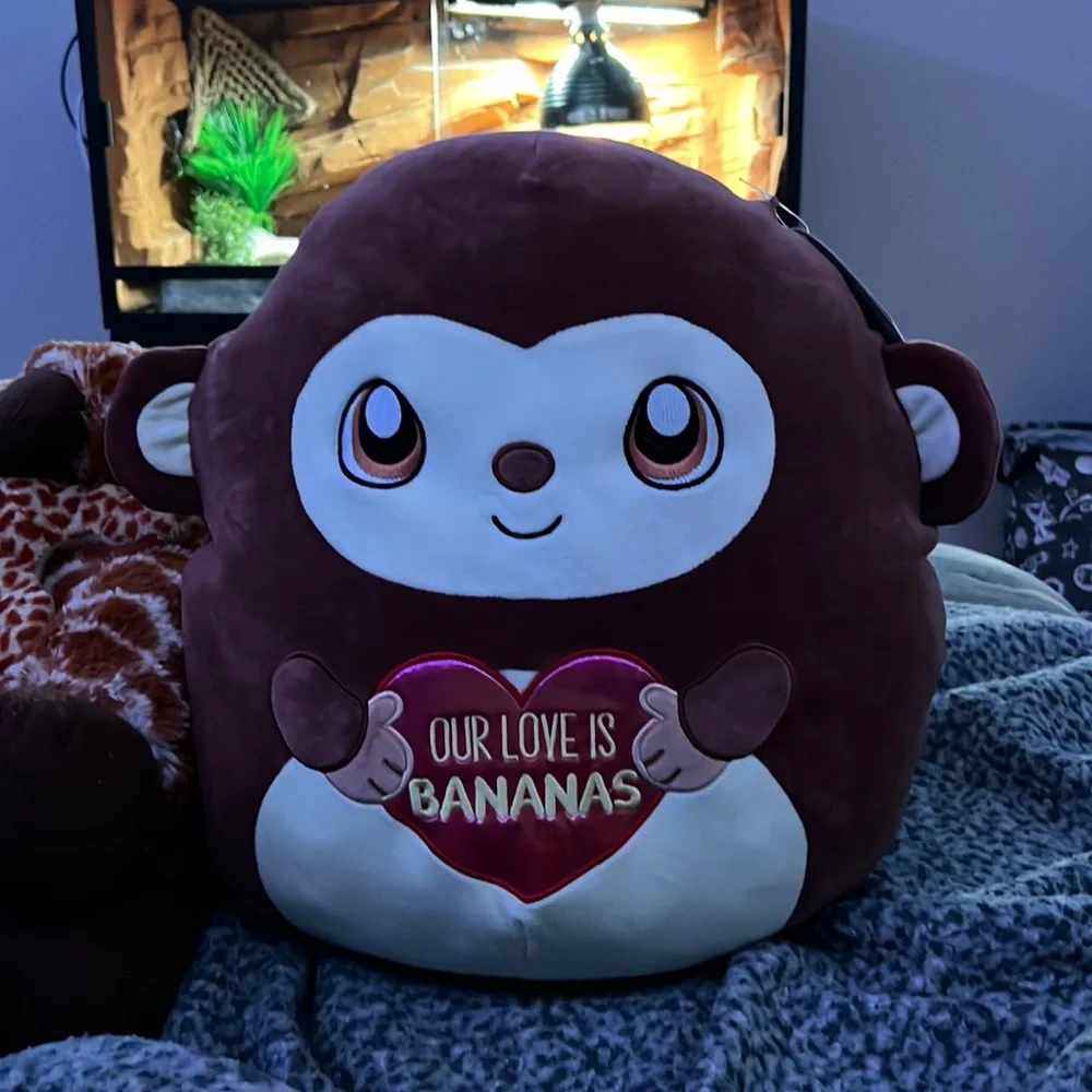 Valentine’s day Squishmallow! - Picture 1 of 1
